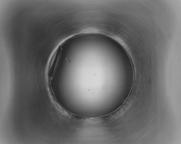 X0000112431008200908211156