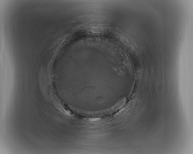 X0000112431009200908211156