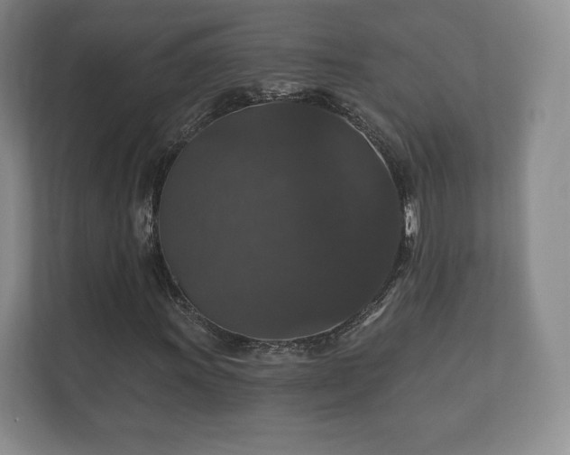 X0000112431011200908211156