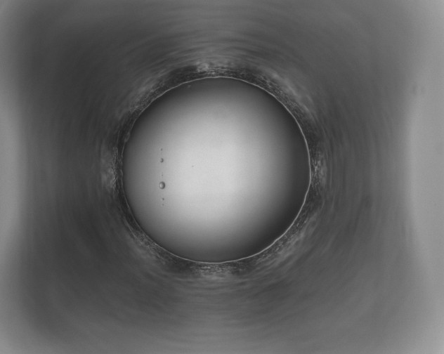 X0000112431012200908211156