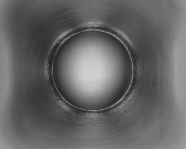 X0000112431018200908211156