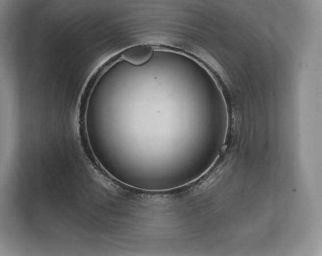 X0000112431020200908211156