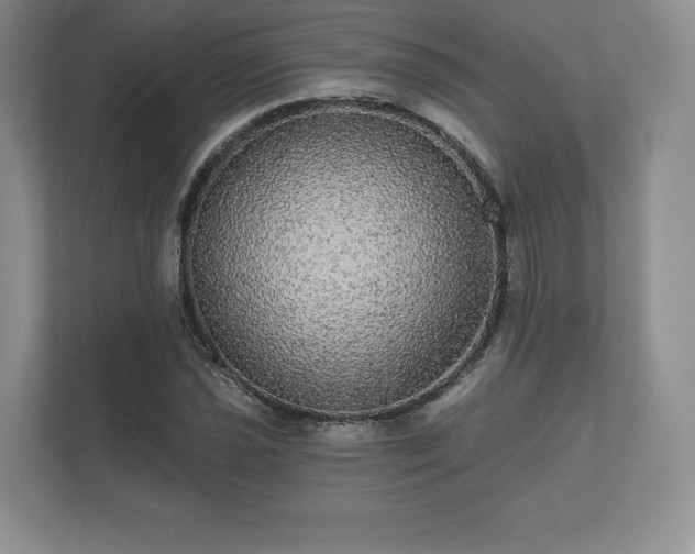 X0000112431021200908211156