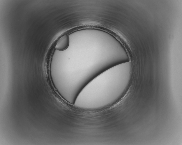 X0000112431022200908211156