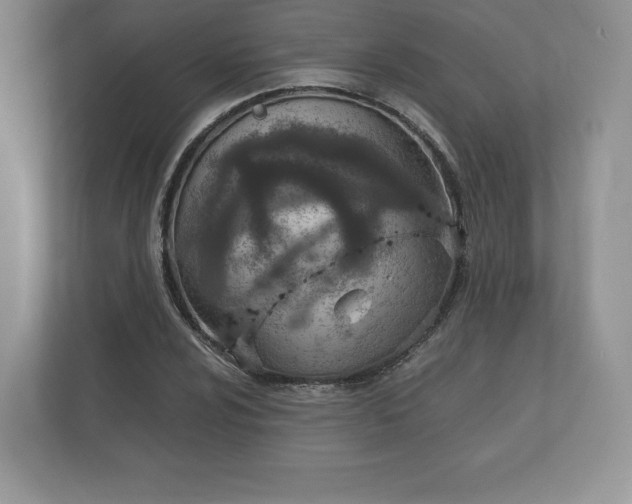 X0000112431024200908211156