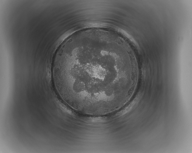 X0000112431025200908211156