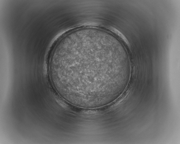 X0000112431027200908211156