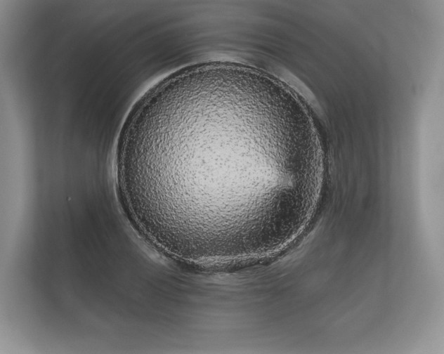 X0000112431028200908211156