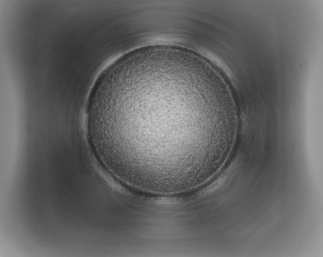X0000112431029200908211156