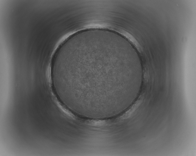 X0000112431030200908211156