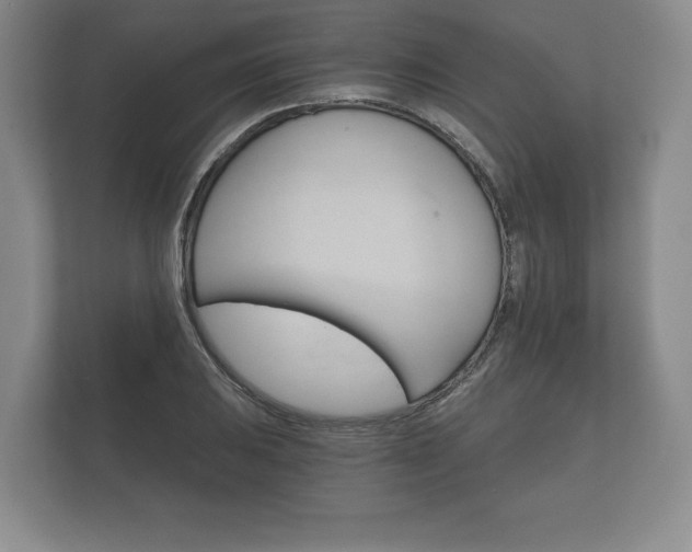 X0000112431031200908211156