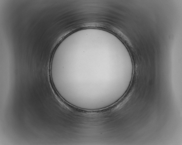 X0000112431033200908211156
