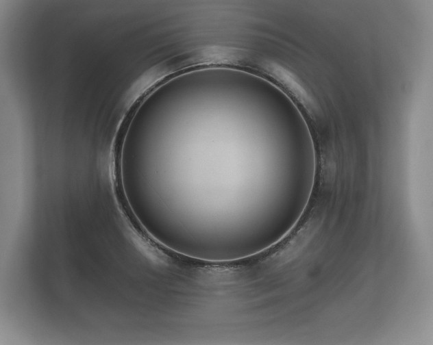 X0000112431034200908211156