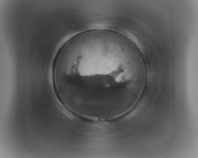 X0000112431035200908211156