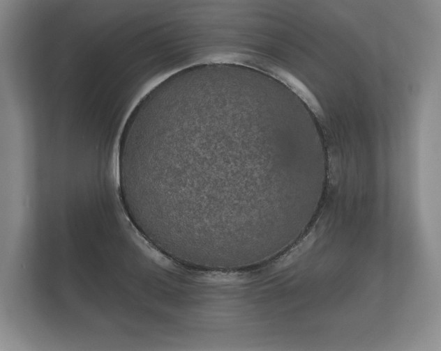 X0000112431036200908211156