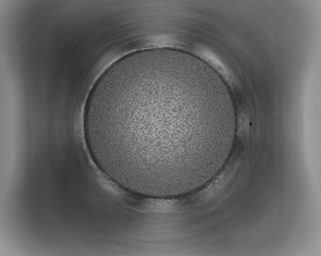 X0000112431039200908211156