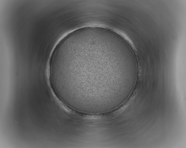 X0000112431040200908211156