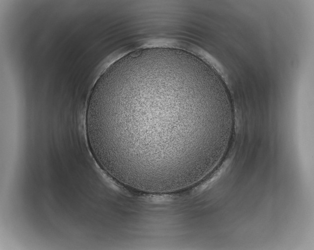 X0000112431041200908211156