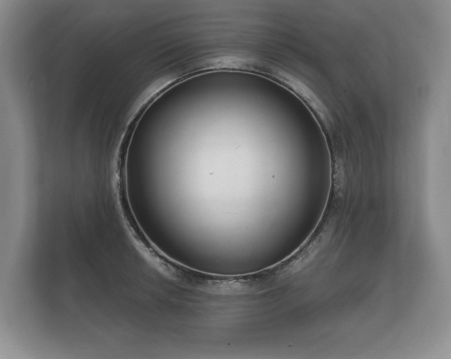 X0000112431042200908211156