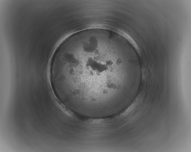 X0000112431043200908211156