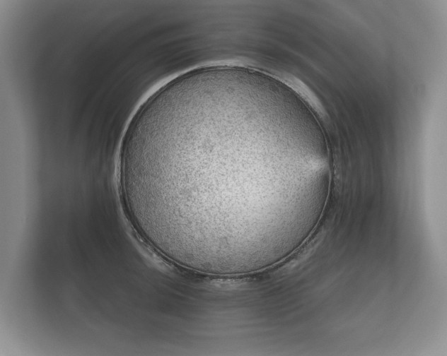 X0000112431044200908211156