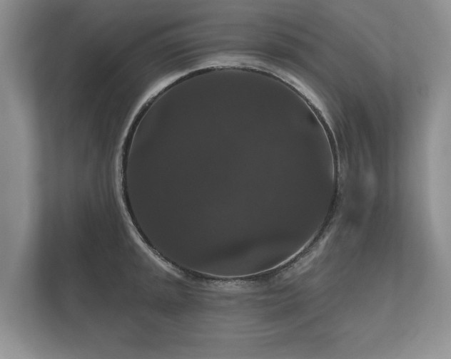 X0000112431045200908211156