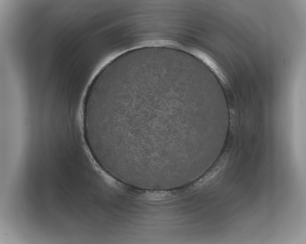 X0000112431046200908211156