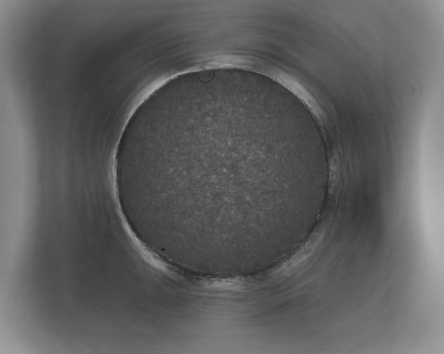 X0000112431047200908211156