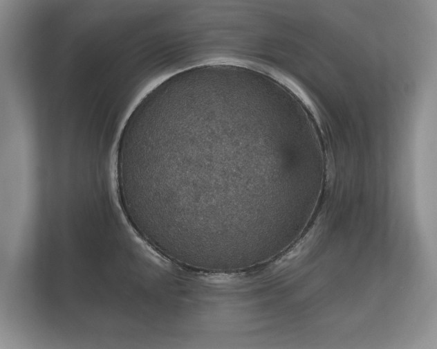 X0000112431048200908211156