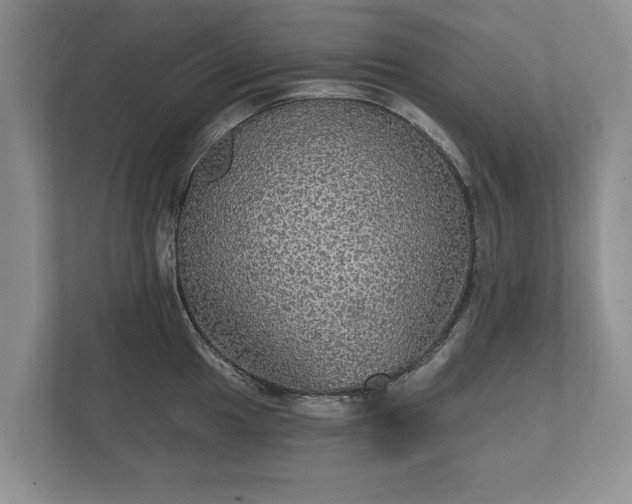 X0000112431049200908211156