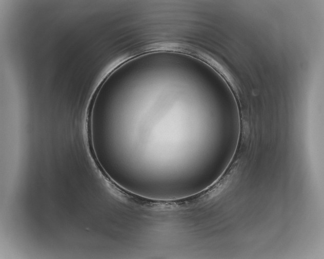 X0000112431050200908211156