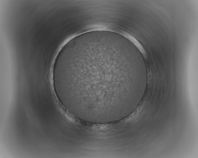 X0000112431051200908211156