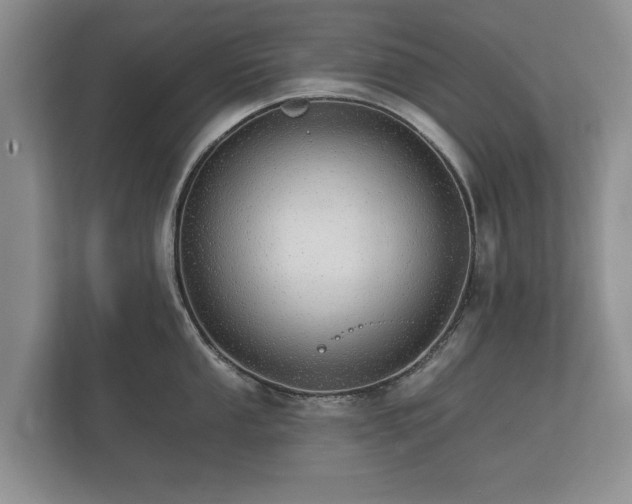 X0000112431053200908211156