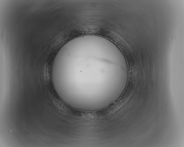 X0000112431058200908211156