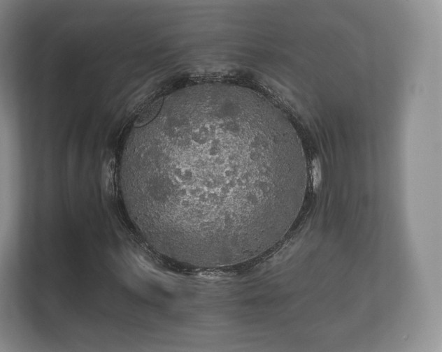 X0000112431059200908211156