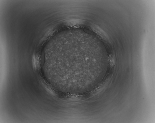 X0000112431060200908211156