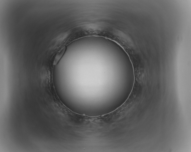 X0000112431061200908211156