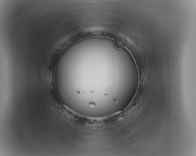 X0000112431062200908211156