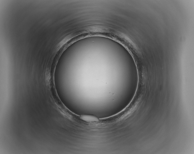 X0000112431065200908211156
