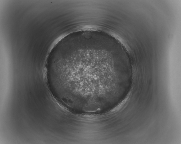 X0000112431066200908211156