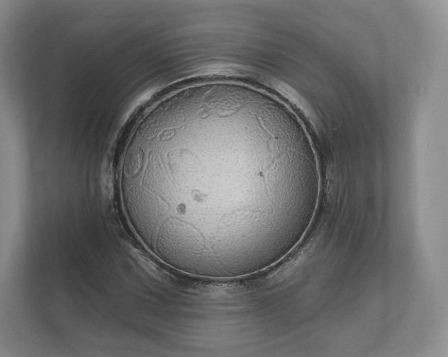 X0000112431067200908211156