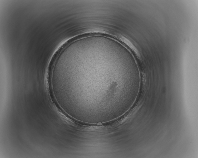 X0000112431068200908211156
