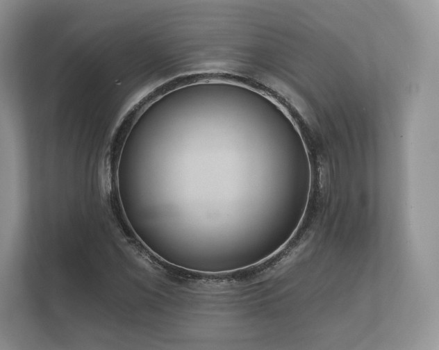 X0000112431069200908211156