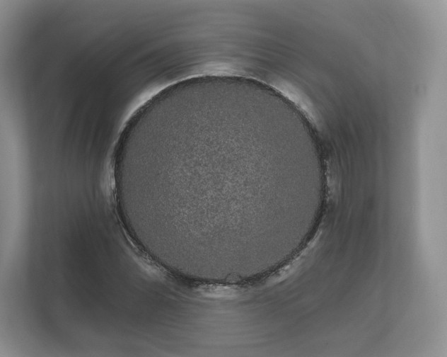 X0000112431070200908211156