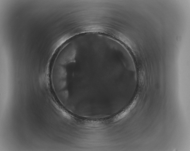 X0000112431071200908211156