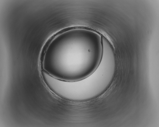 X0000112431072200908211156