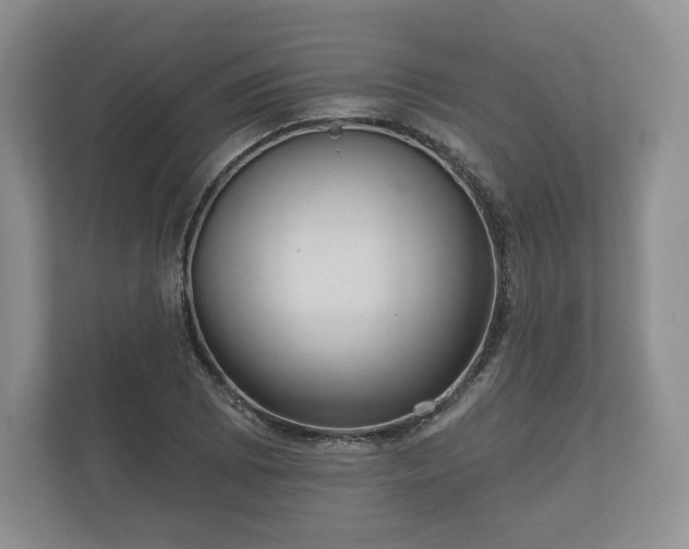 X0000112431073200908211156