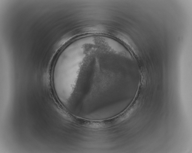 X0000112431074200908211156