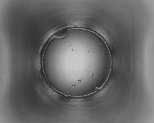X0000112431075200908211156