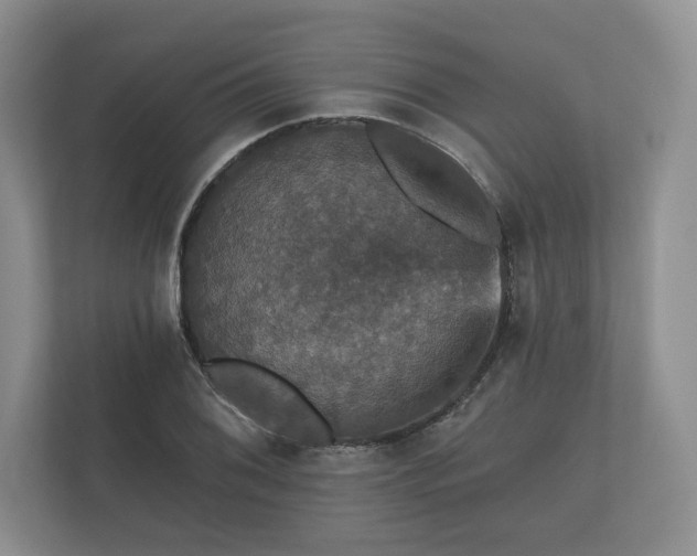 X0000112431076200908211156